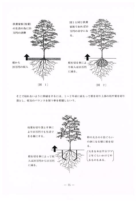 樹木 根|樹木の根の特性と植え方